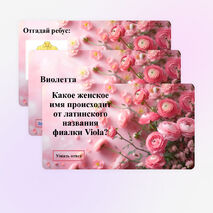 Викторина 