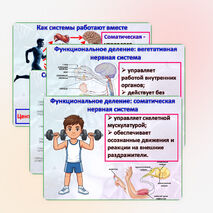 Презентация 