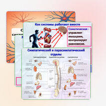 Презентация 