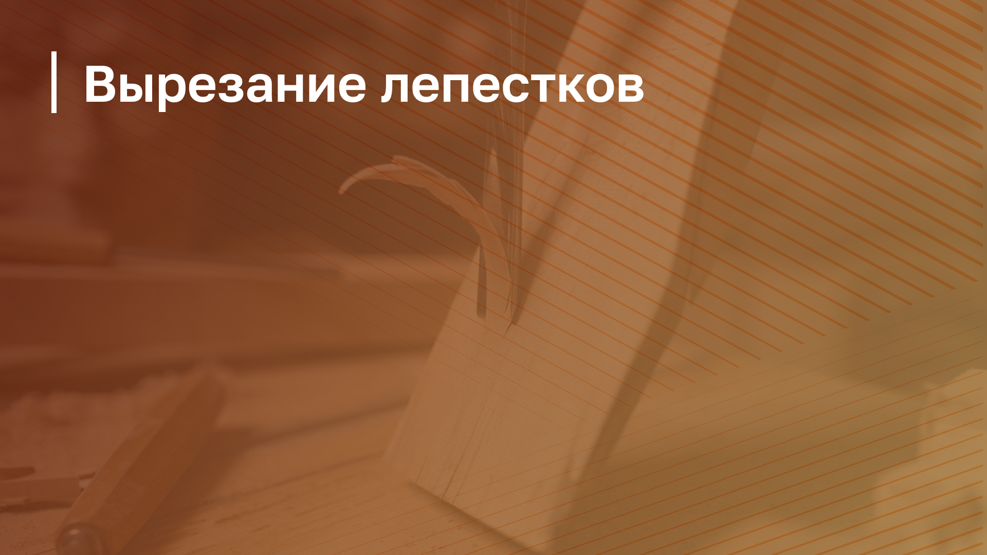 Обложка курса