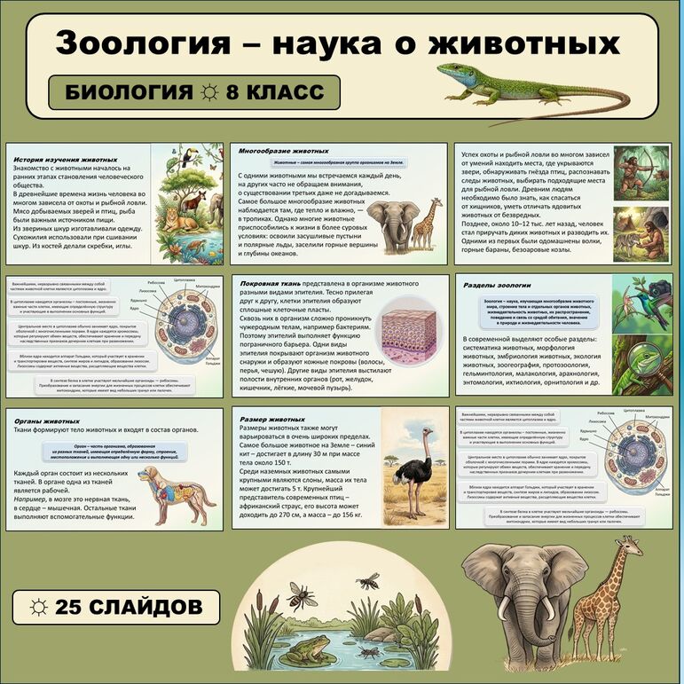 Презентация по биологии «Зоология — наука о животных» 8 класс