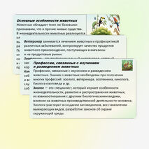 Презентация по биологии «Зоология — наука о животных» 8 класс