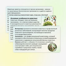 Презентация по биологии «Зоология — наука о животных» 8 класс