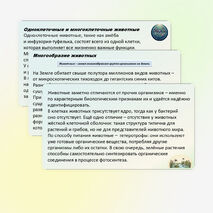 Презентация по биологии «Зоология — наука о животных» 8 класс