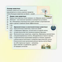 Презентация по биологии «Зоология — наука о животных» 8 класс