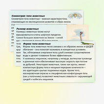 Презентация по биологии «Зоология — наука о животных» 8 класс