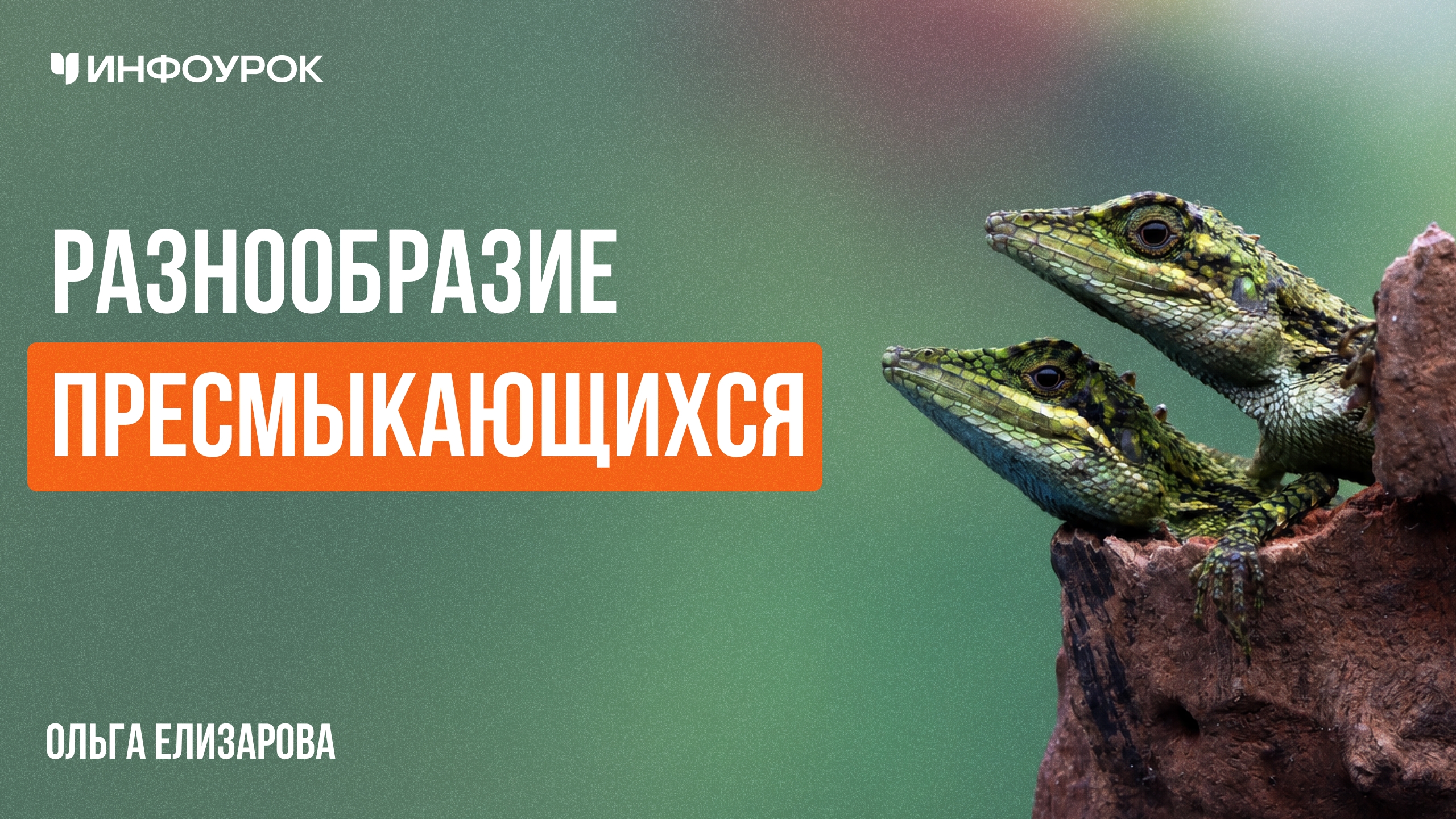 Обложка курса
