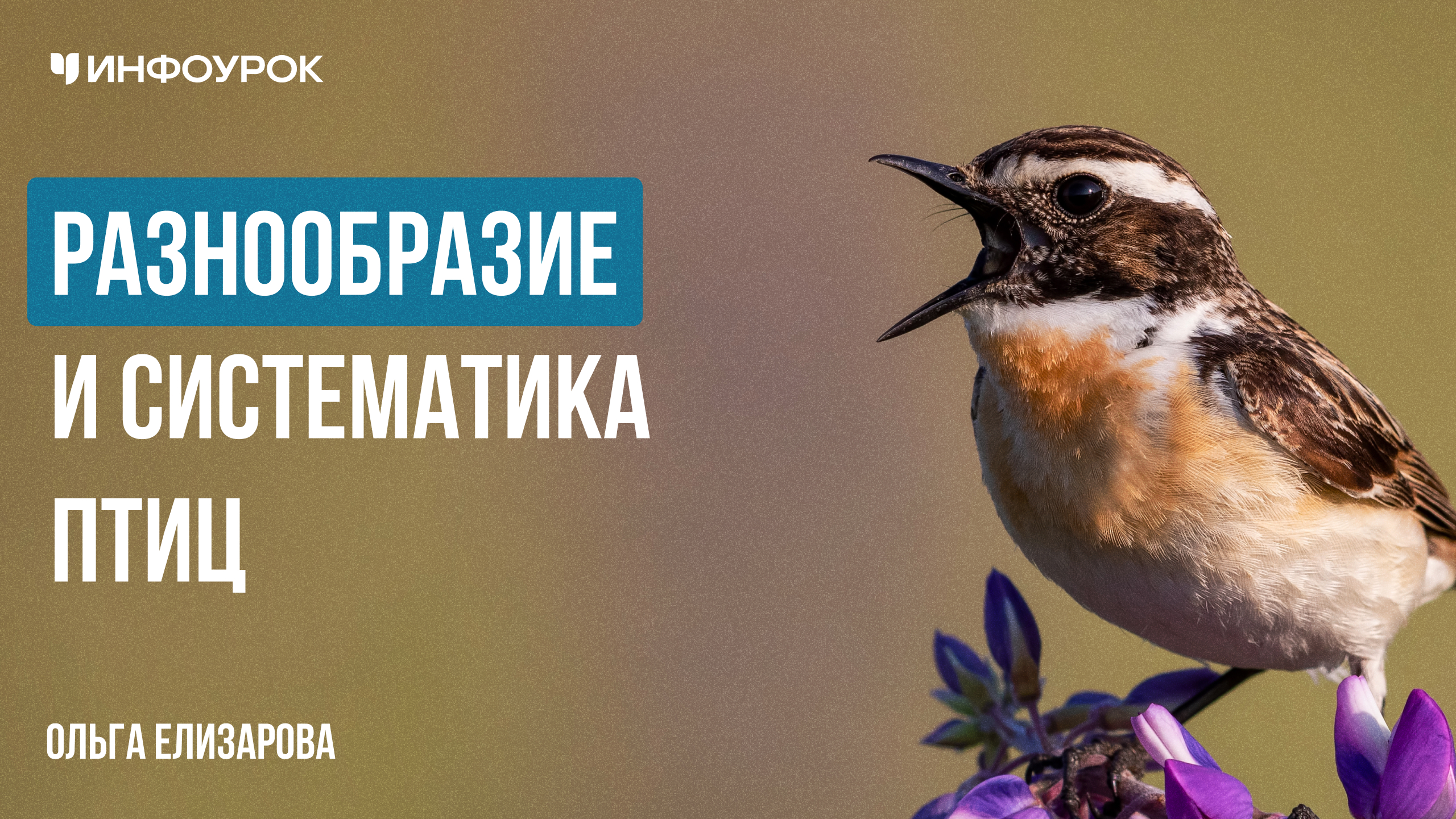 Обложка курса