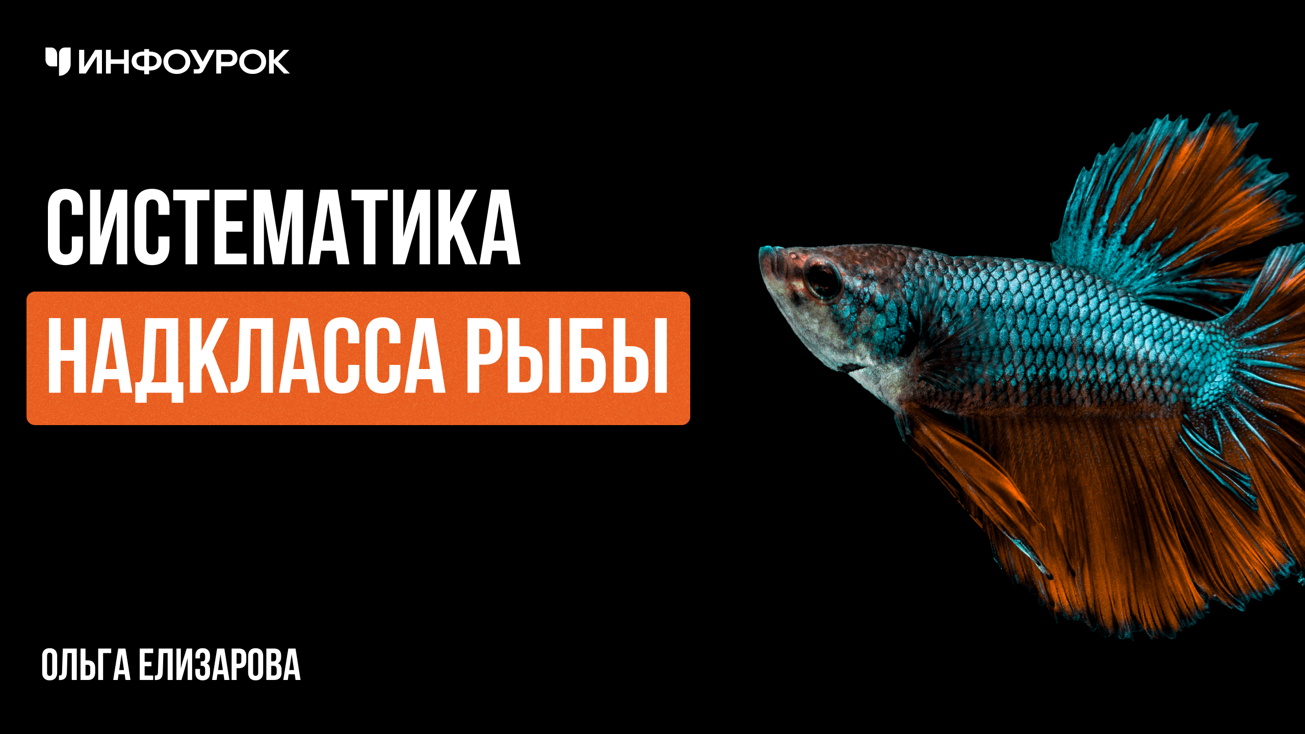 Обложка курса