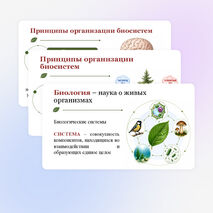 Презентация по биологии 