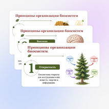 Презентация по биологии 