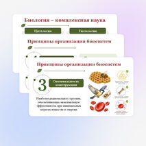 Презентация по биологии 