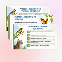 Презентация «Зоология — наука о животных», биология 8 класс
