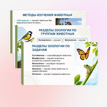 Презентация «Зоология — наука о животных», биология 8 класс