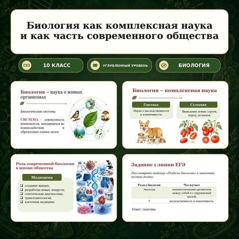Презентация по биологии 