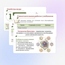 Презентация по биологии 