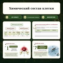 Презентация по биологии 