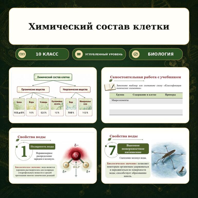 Презентация по биологии 