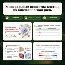 Презентация по биологии 