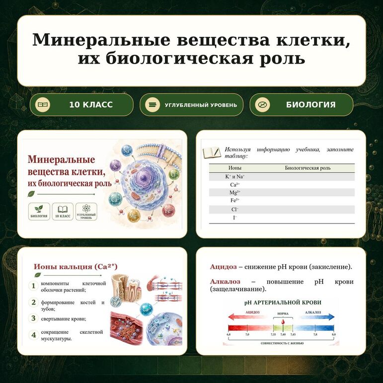Презентация по биологии 