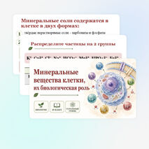 Презентация по биологии 