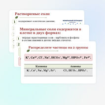 Презентация по биологии 