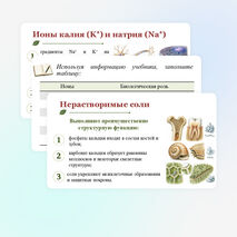 Презентация по биологии 