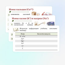 Презентация по биологии 