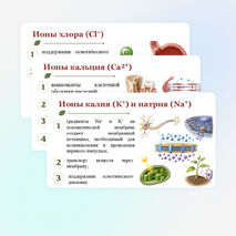 Презентация по биологии 