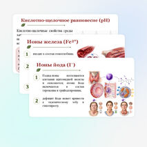 Презентация по биологии 