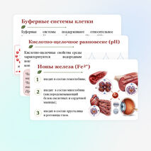 Презентация по биологии 