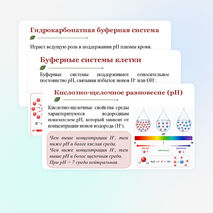 Презентация по биологии 