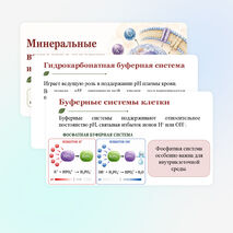 Презентация по биологии 