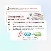 Презентация по биологии 