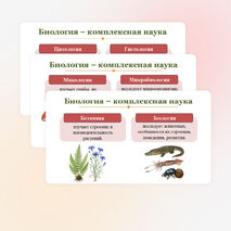 Презентация 