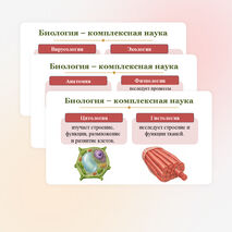 Презентация 