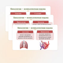 Презентация 
