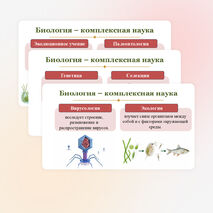 Презентация 