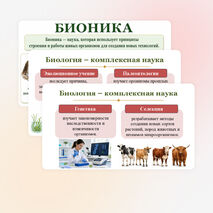 Презентация 