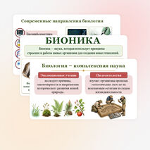 Презентация 