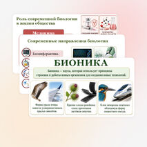 Презентация 