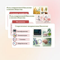 Презентация 