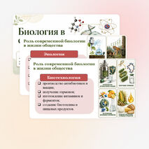 Презентация 
