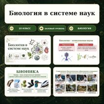 Презентация 