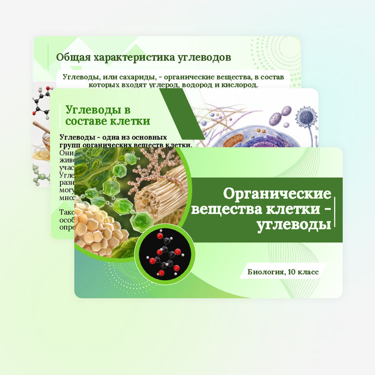 Презентация по биологии «Органические вещества клетки - углеводы» для 10 класса