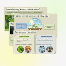 Живая и неживая природа. Признаки живого