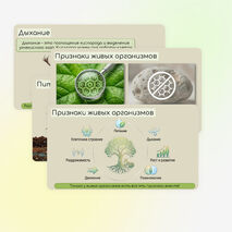 Живая и неживая природа. Признаки живого