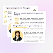 Презентация по биологии 