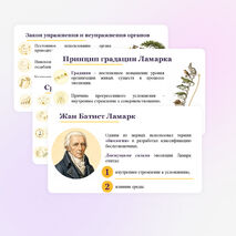 Презентация по биологии 