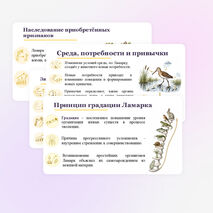 Презентация по биологии 